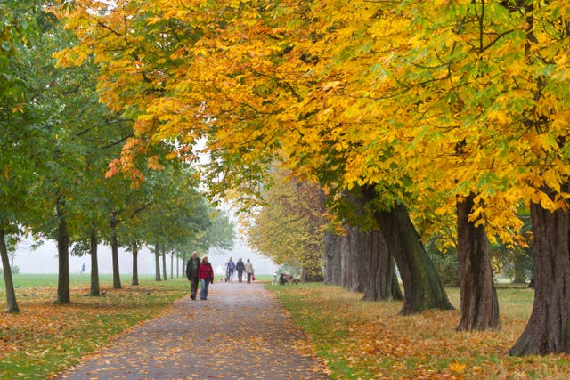 The fun has allowed people to save and improve parks, pubs and community centres (Alamy/PA)