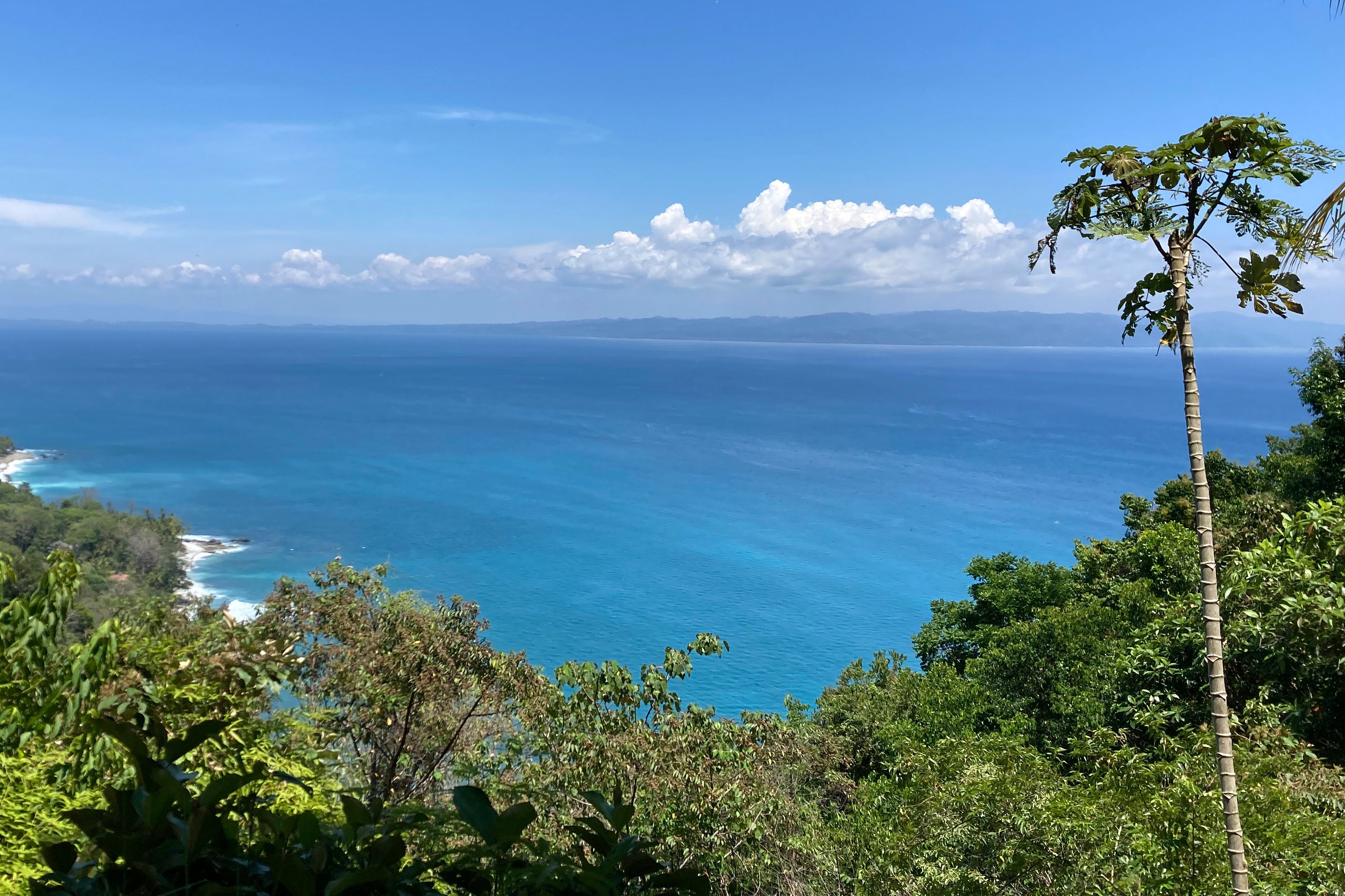 Biodiversity Monitoring