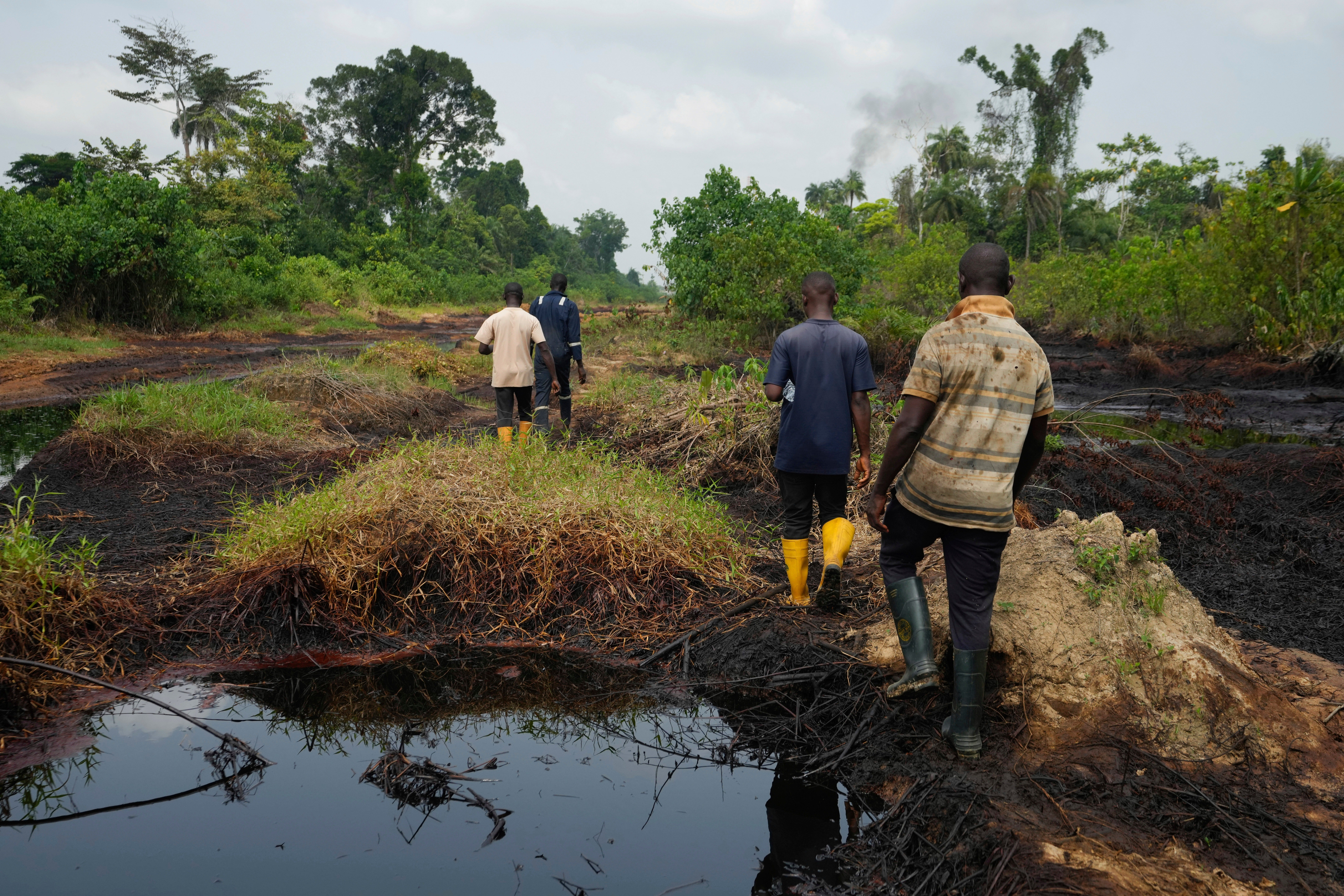 Nigeria Oil Pollution Failed Cleanup
