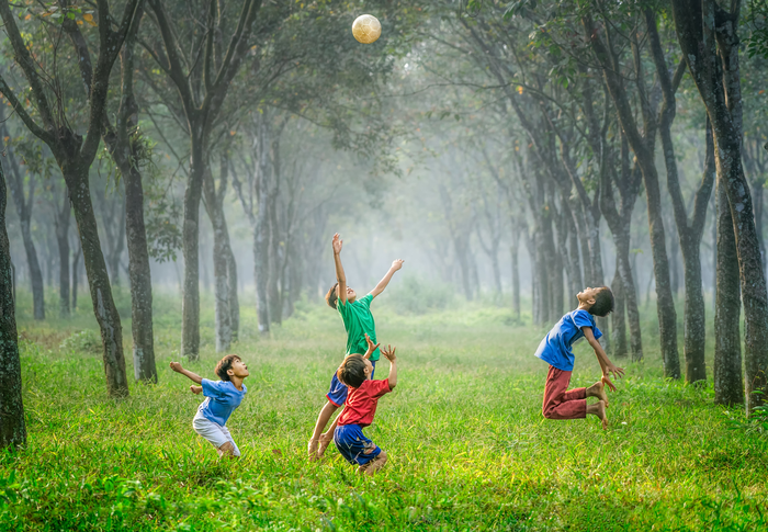 <p>Boys playing ball on green grass</p>