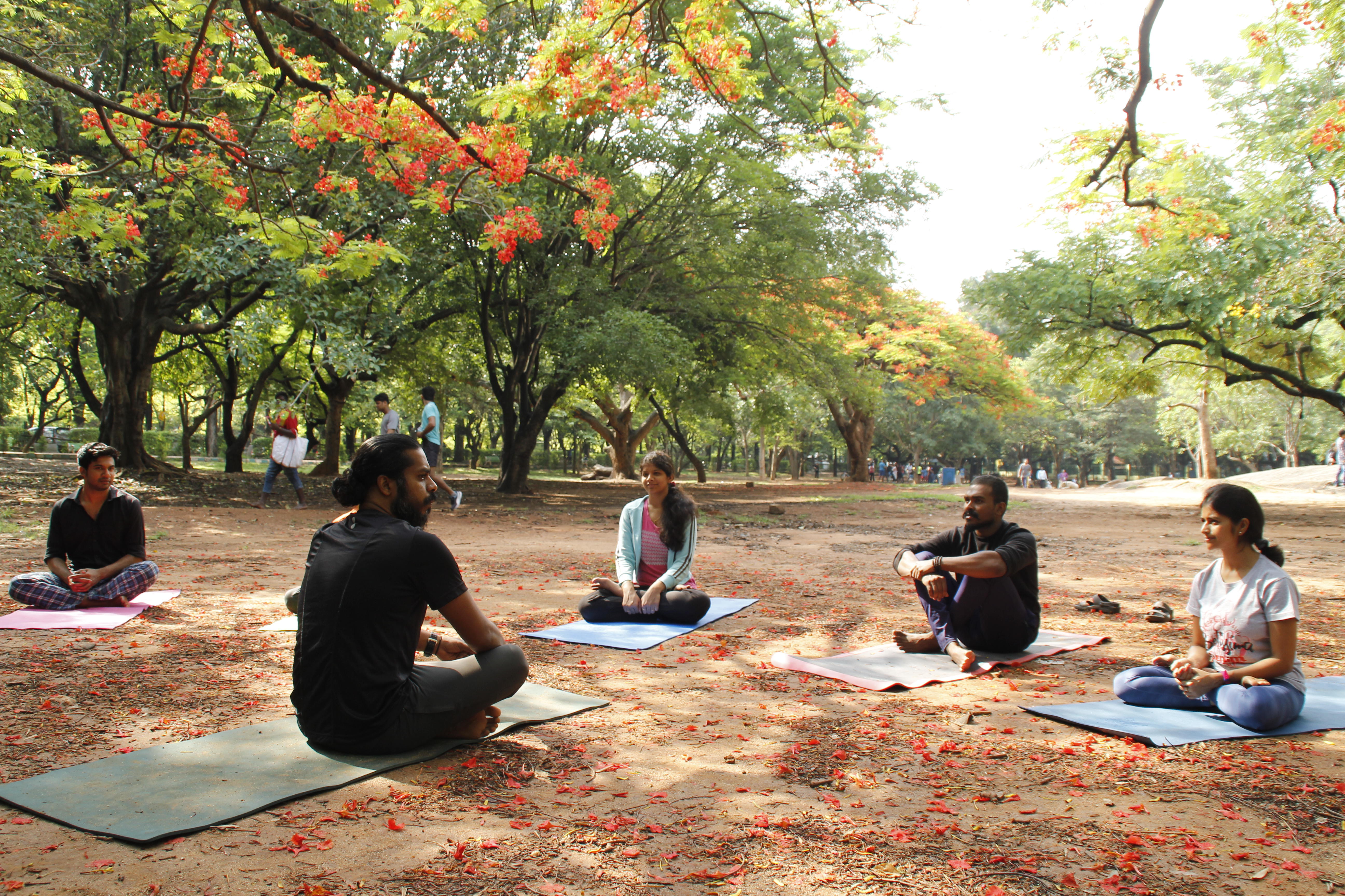 Yogis in Cubbon Park, one of the many green spaces in Bengaluru (Alamy/PA)