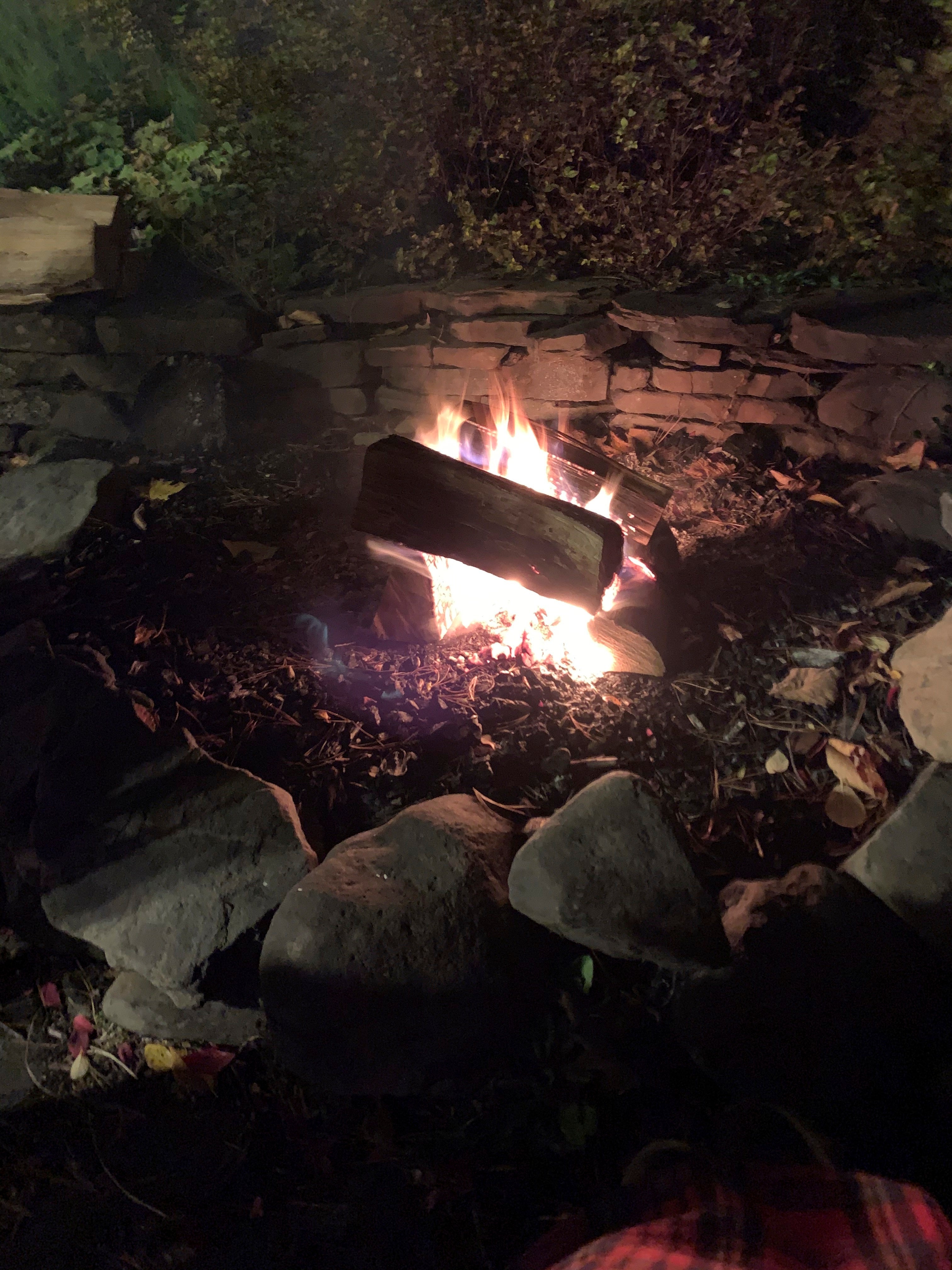 Gardening-Firewood-Invasives