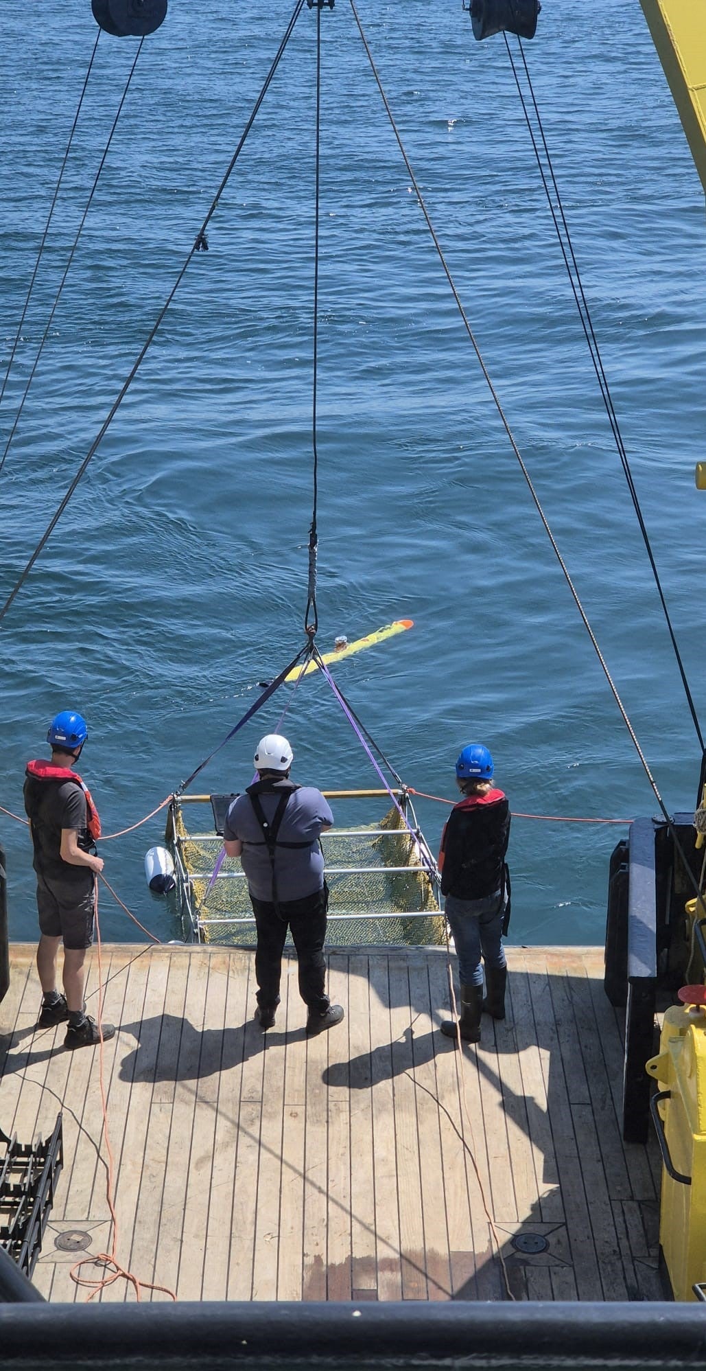 Revealing the secrets of Britain’s lost Atlantis: Archaeologists discover Stone Age artefacts under North Sea