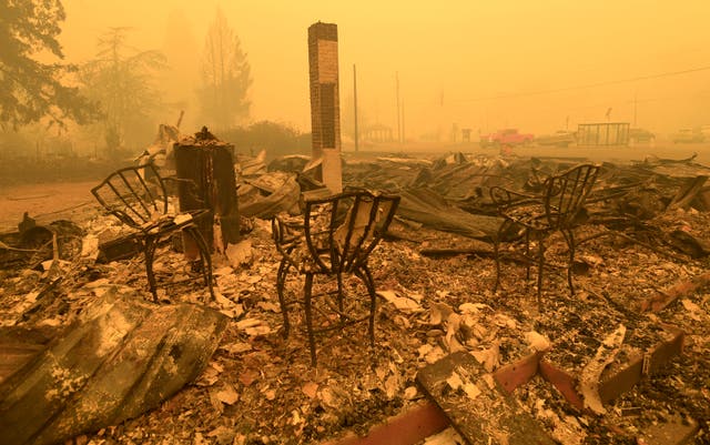 <p>File. Aftermath of a wildfire </p>