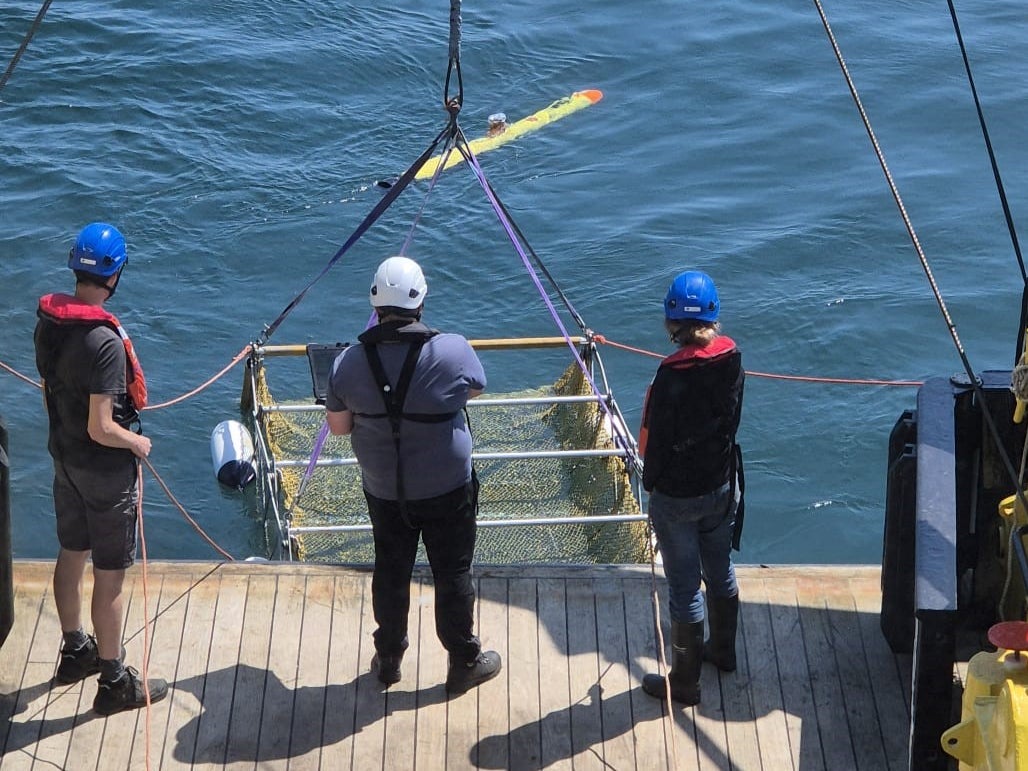 In search of the Stone Age: A small autonomous unmanned vehicle about to be lowered to the seabed to carry out photographic work