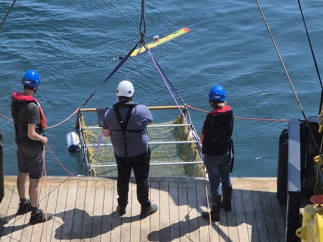 <p>In search of the Stone Age: A small autonomous unmanned vehicle about to be lowered to the seabed to carry out photographic work</p>