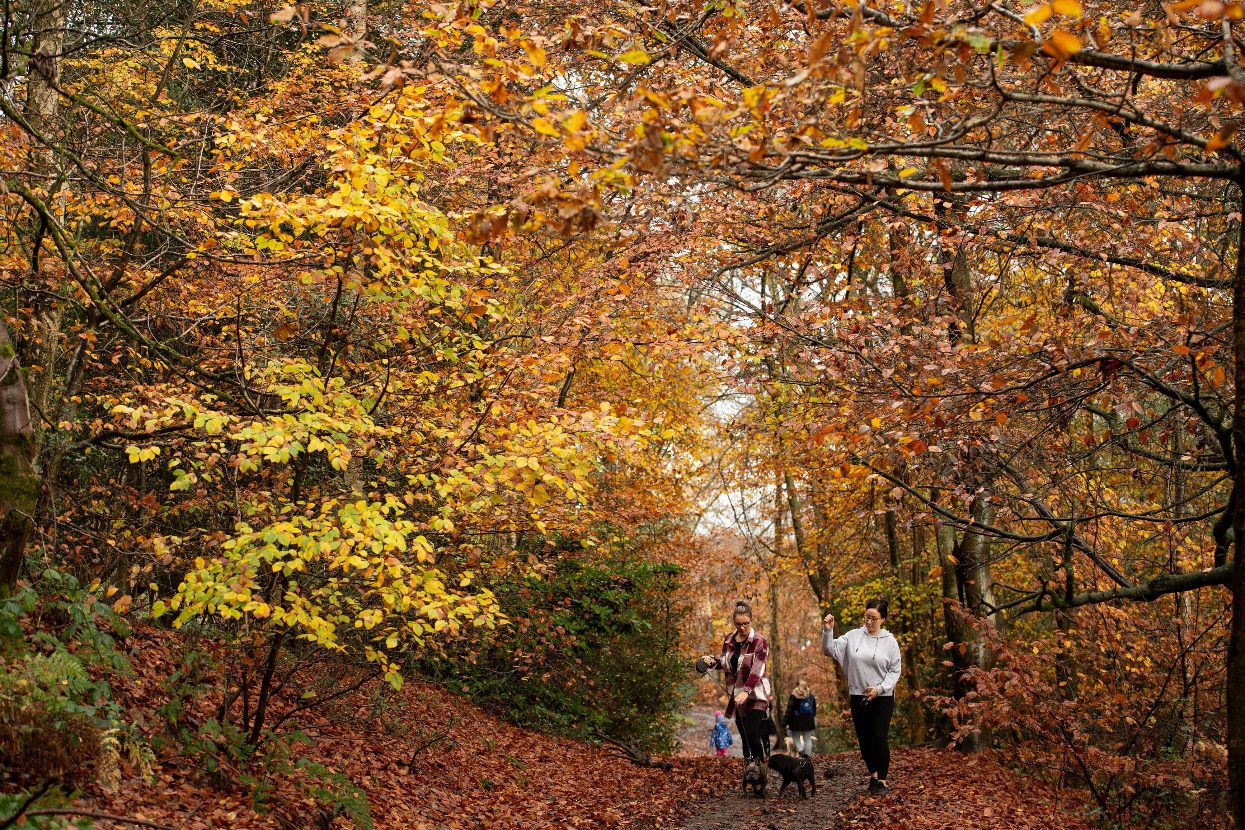 Once recorded as rights of way and added to the definitive map, paths are protected under the law for people to use (Jacob King/PA)