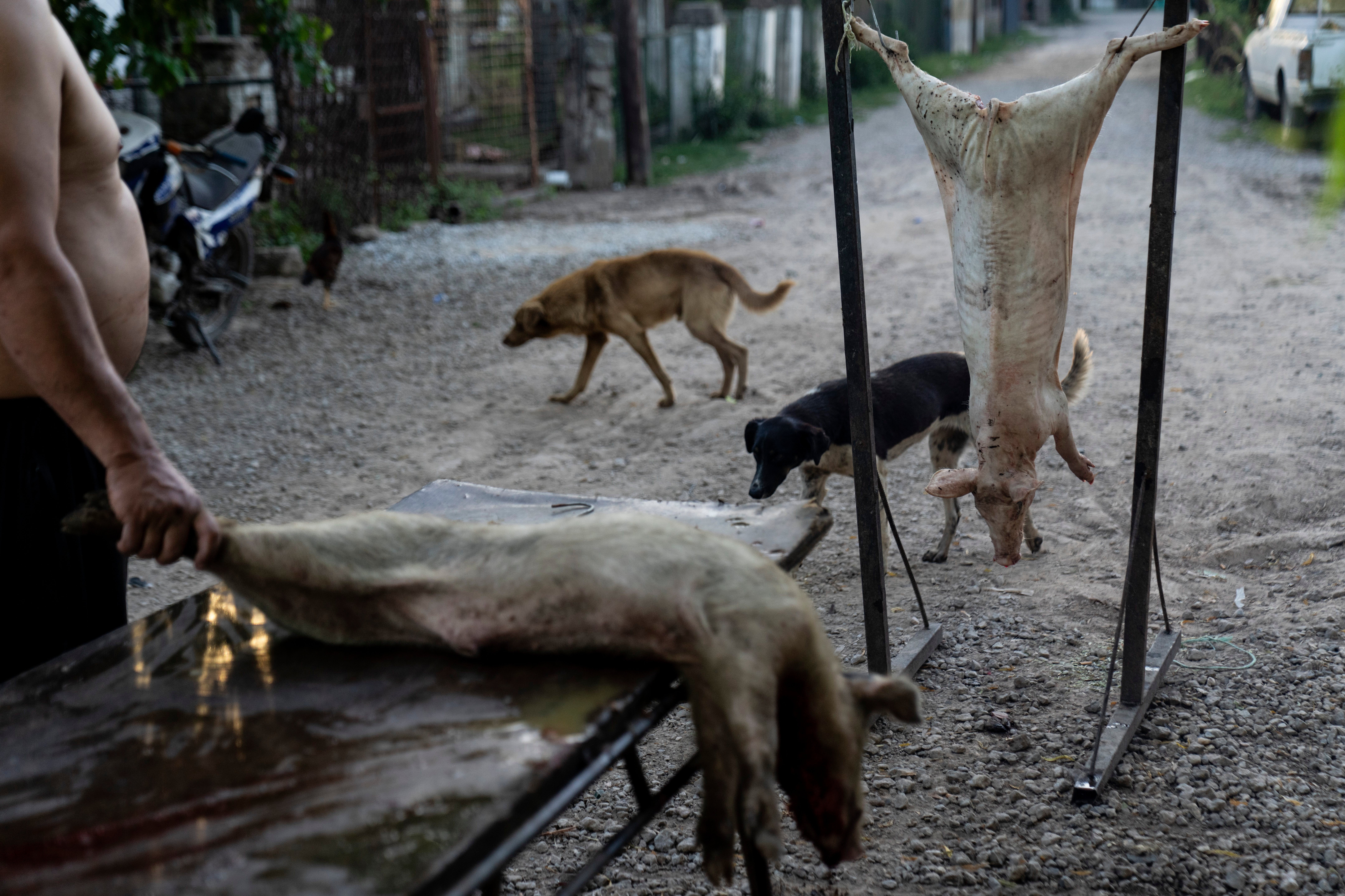Argentina Mighty River Photo Essay