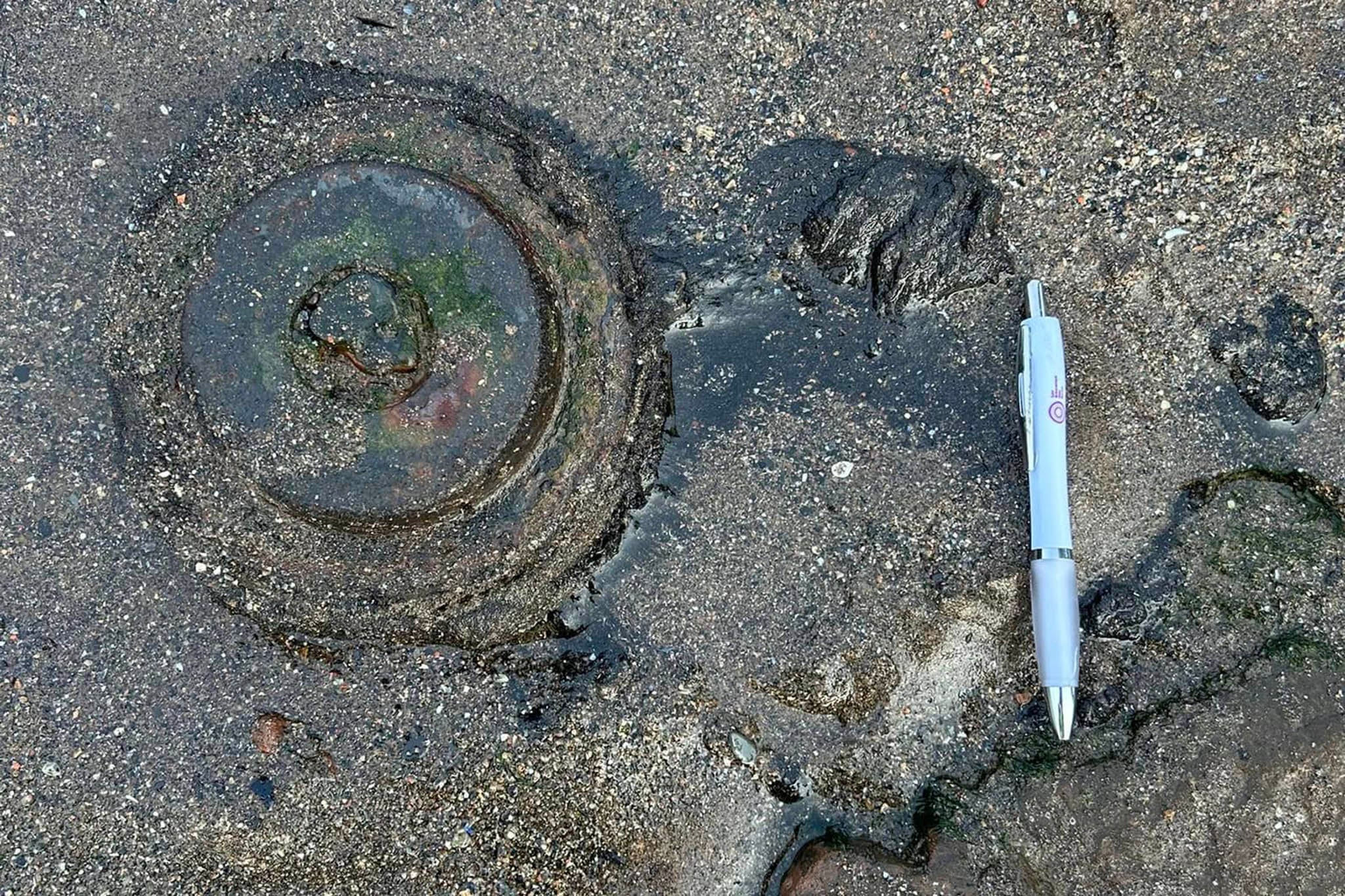 The small round object turned out to be a loudspeaker buried in the sand