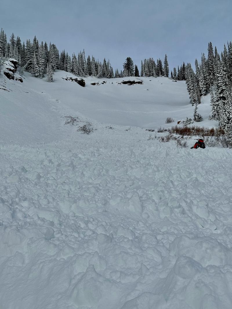 Lumpy snow from the Utah avalanche fills the slope of Cache County’s Logan Canyon. The avalanche was triggered on Christmas Eve