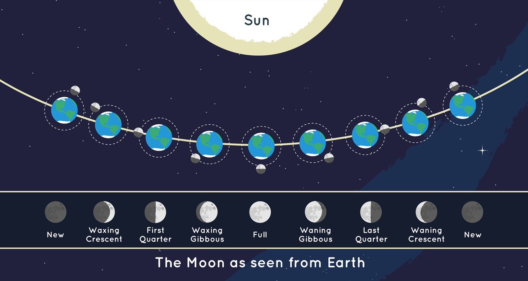 This graphic shows the position of the moon and the sun during each of the moon’s eight phases. It also shows the moon as it appears from Earth during each phase