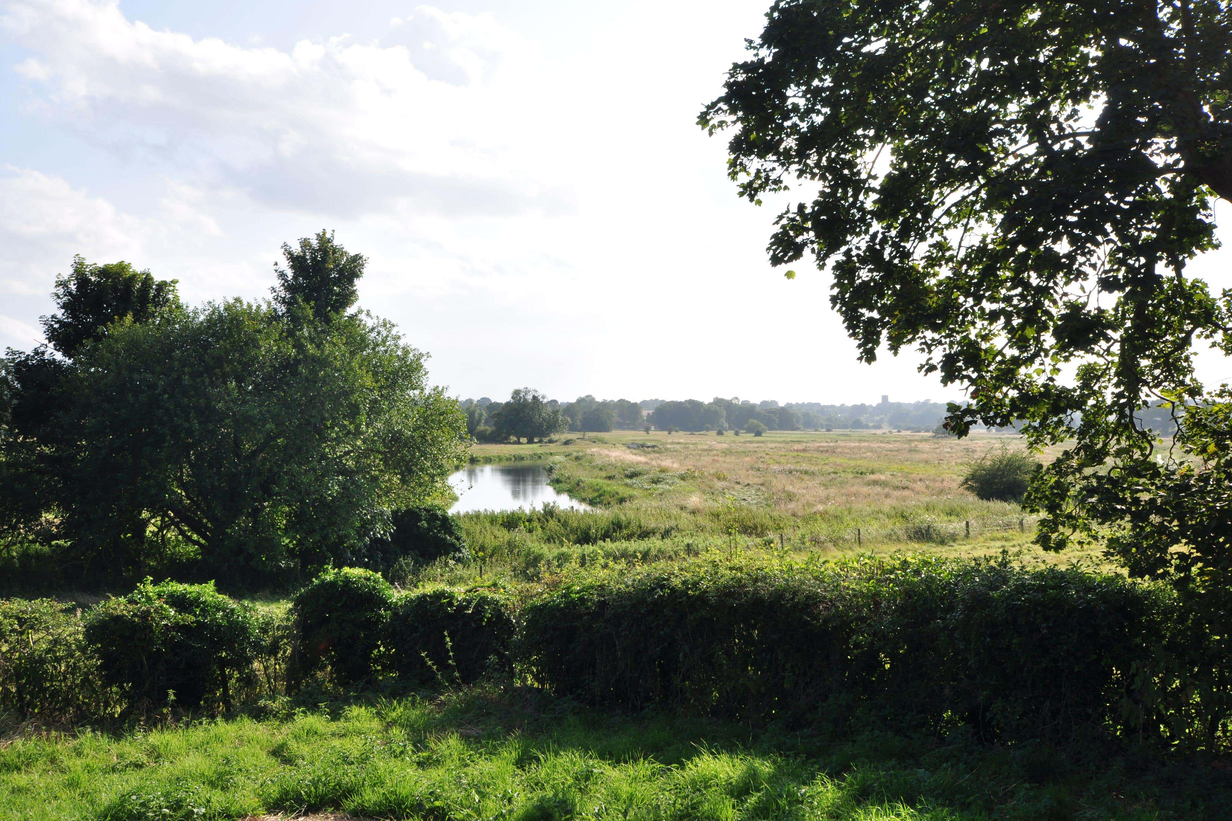 The River Wensum, a designated SSSI, at Bylaugh, Norfolk (Alamy/PA)