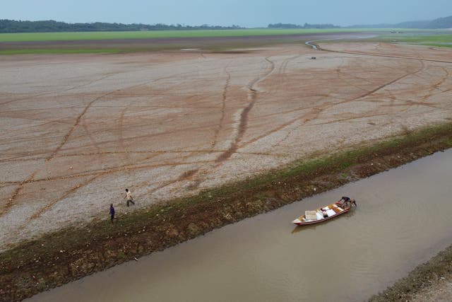 YE Climate Amazon Rainforest