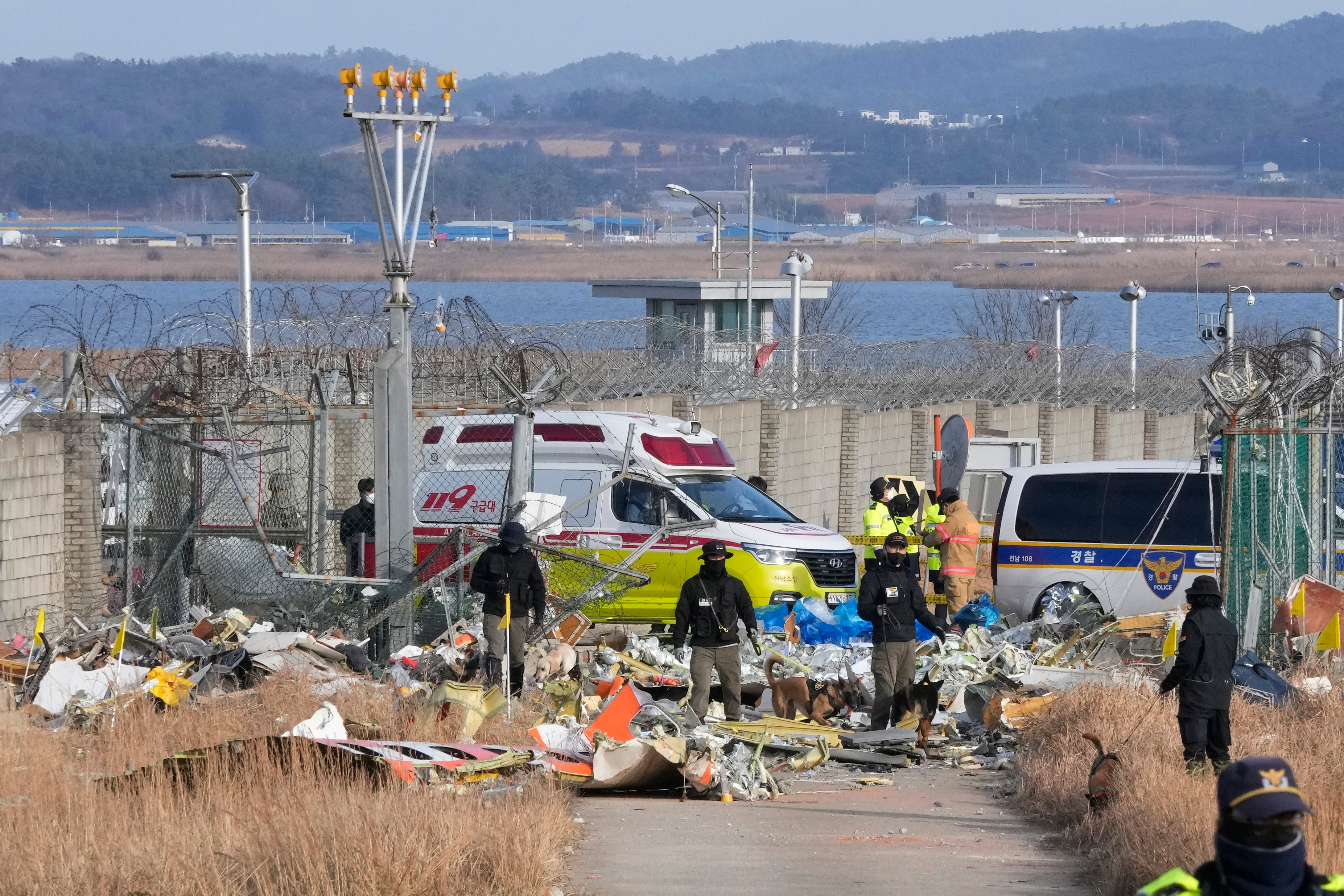 Police officers work with dogs near the site of a plane fire outside of Muan International Airport in Muan, South Korea