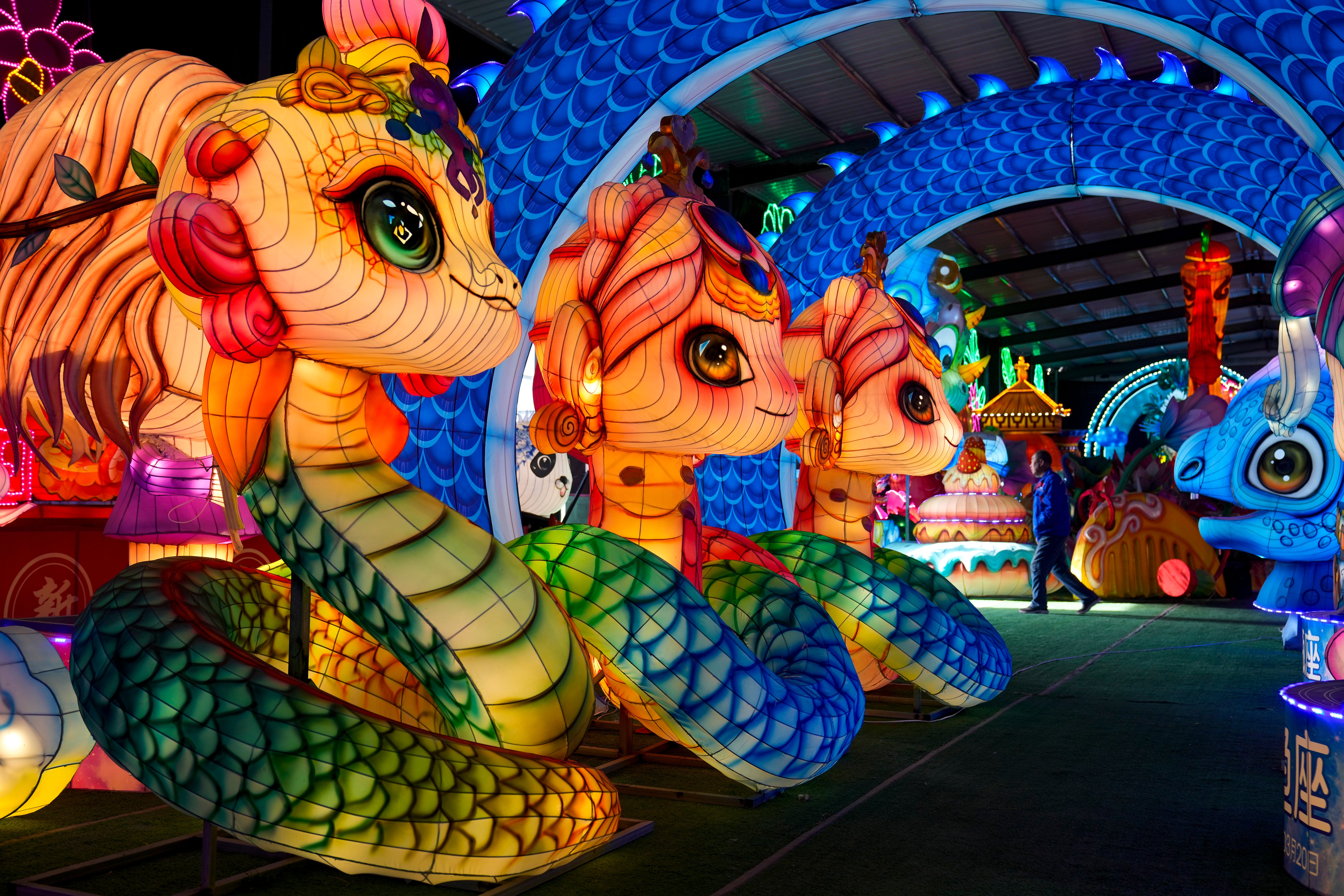 China Year of the Snake Photo Gallery