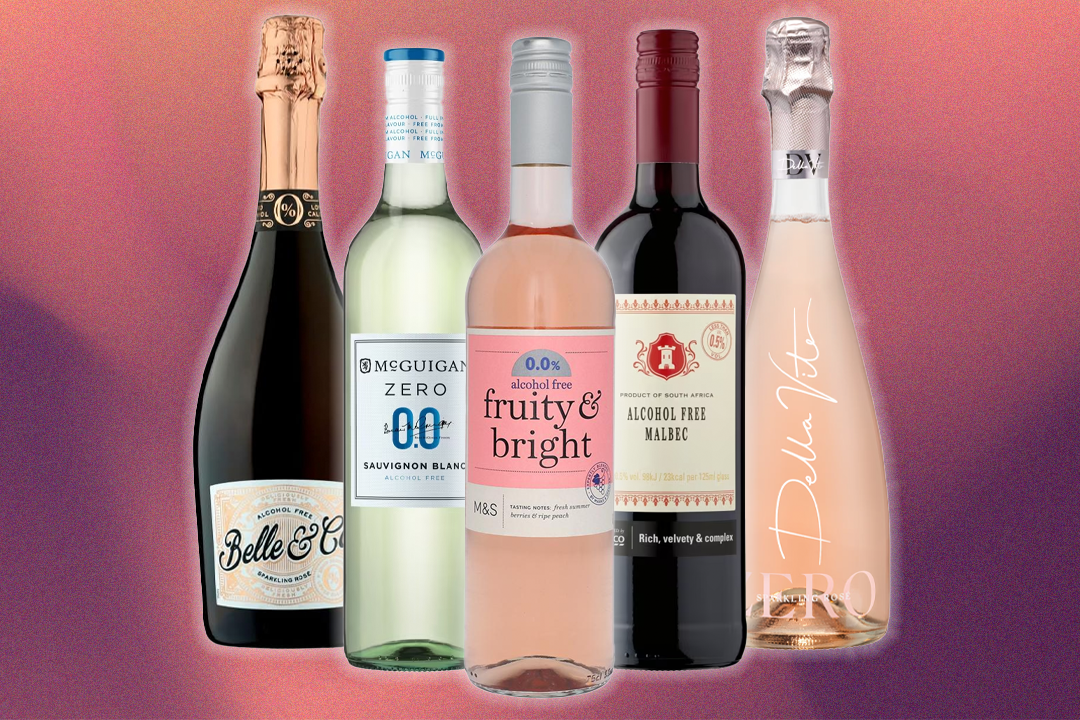 15 best non-alcoholic wines, taste-tested