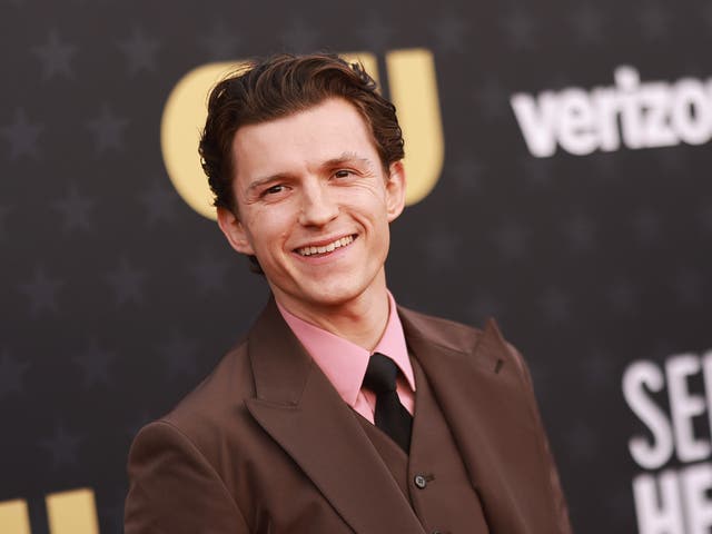 <p>Tom Holland shares the reason he plans to stop acting one day</p>