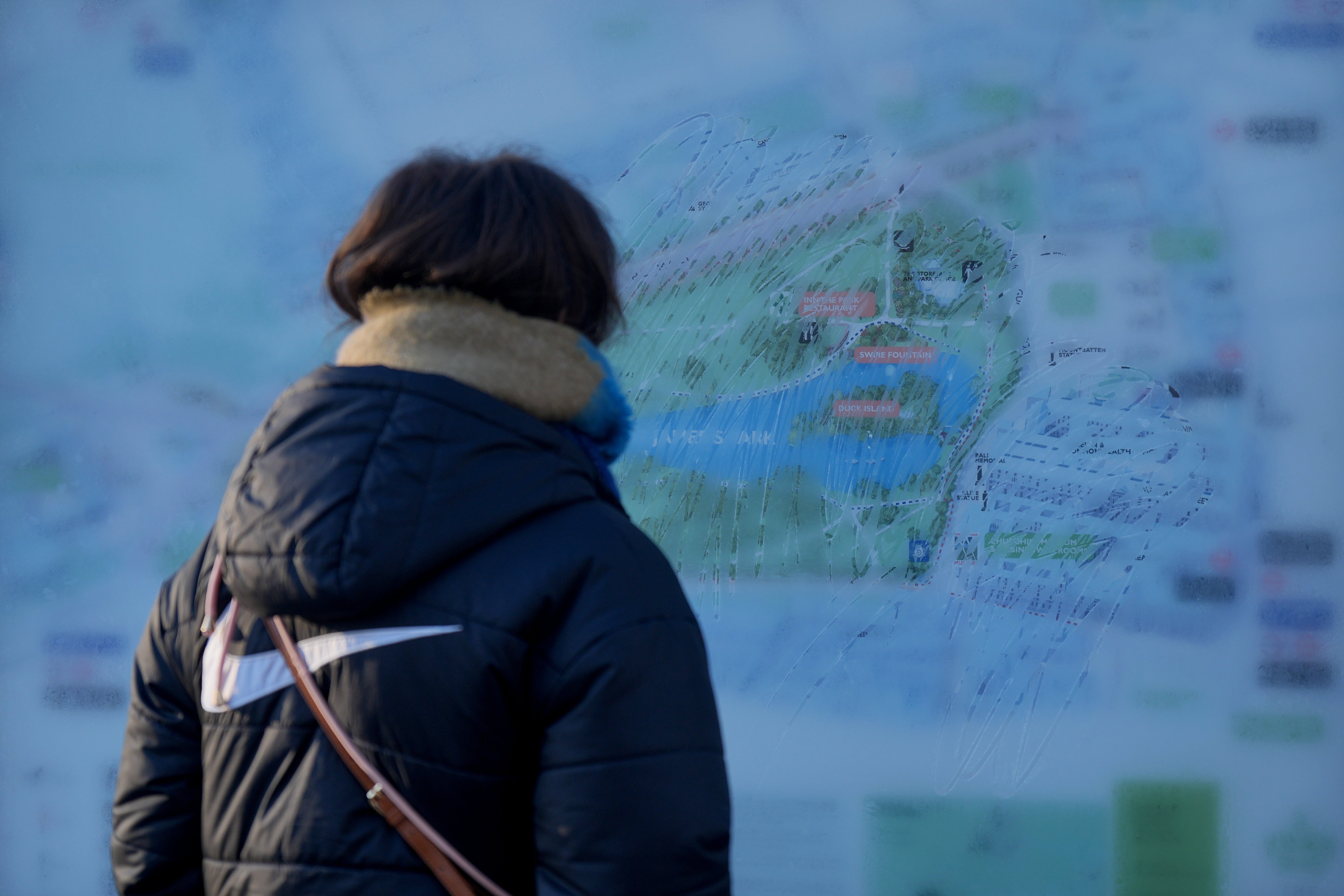 A woman examines a frost-covered map in St James’ Park