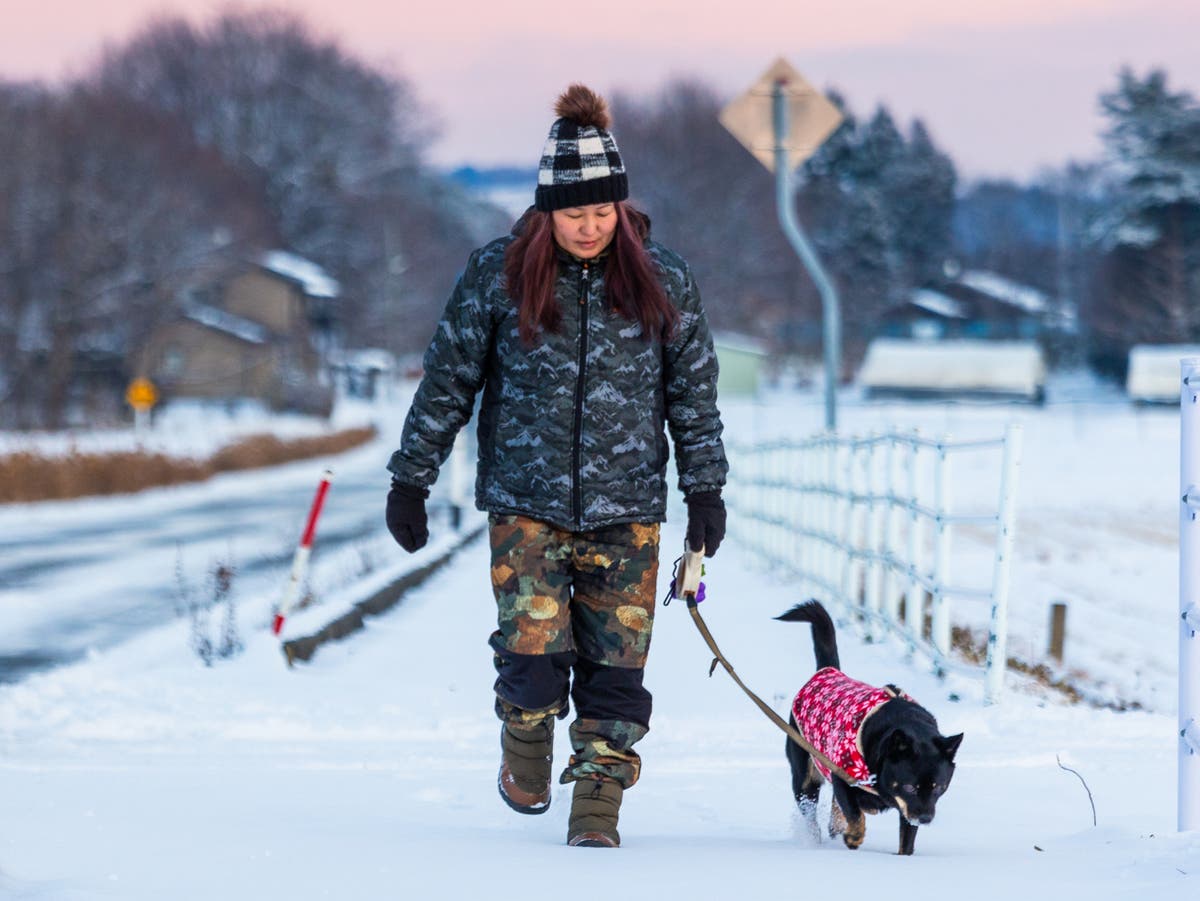 Snow mapped: Where freezing weather will hit UK this weekend with up to 40cm snowfall forecast