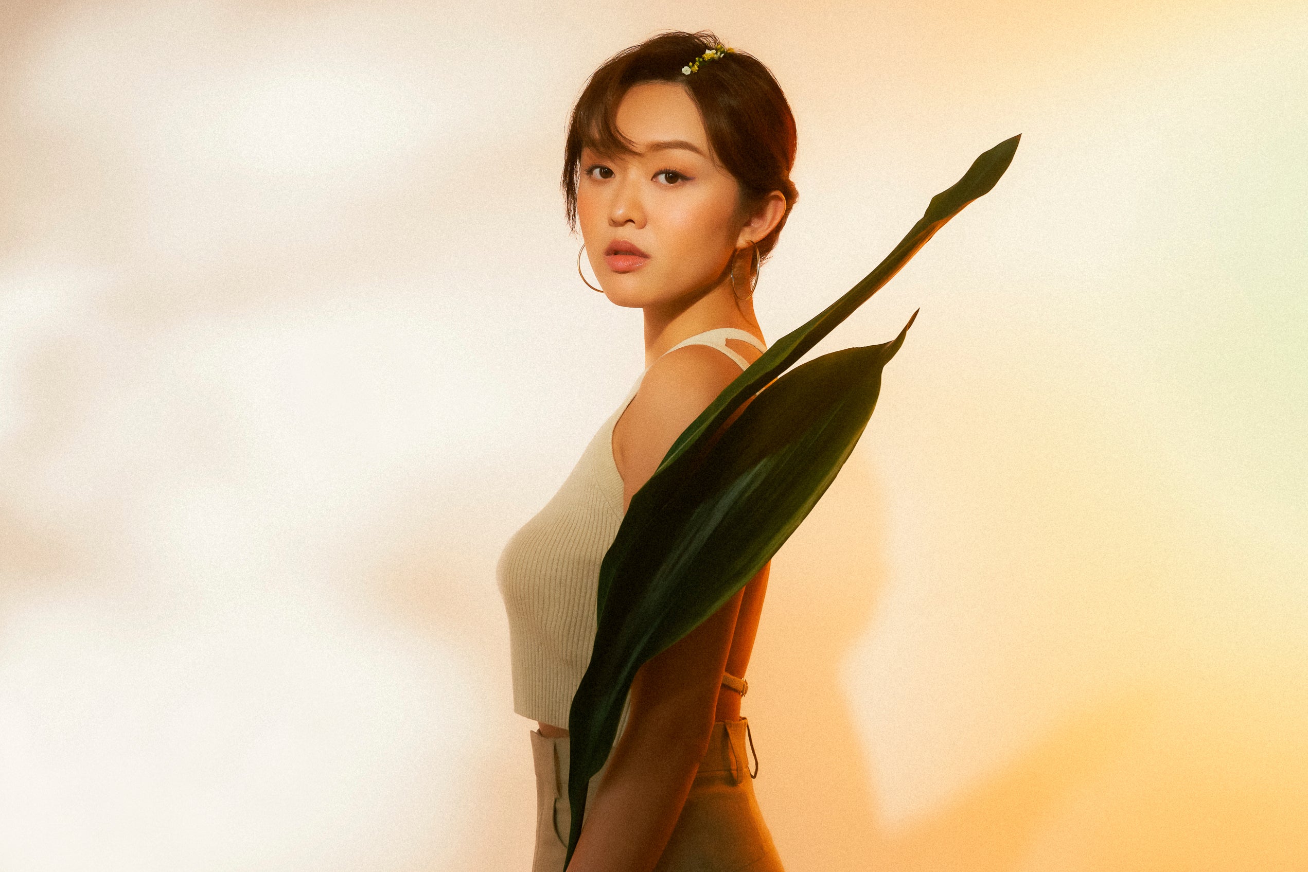 Asian And Asian Americans-Crossover Entertainment