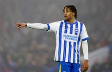 Newcastle United transfer news: Joao Pedro, Anthony Elanga, James Trafford and more