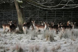 What is freezing rain and why is it dangerous? | The Independent