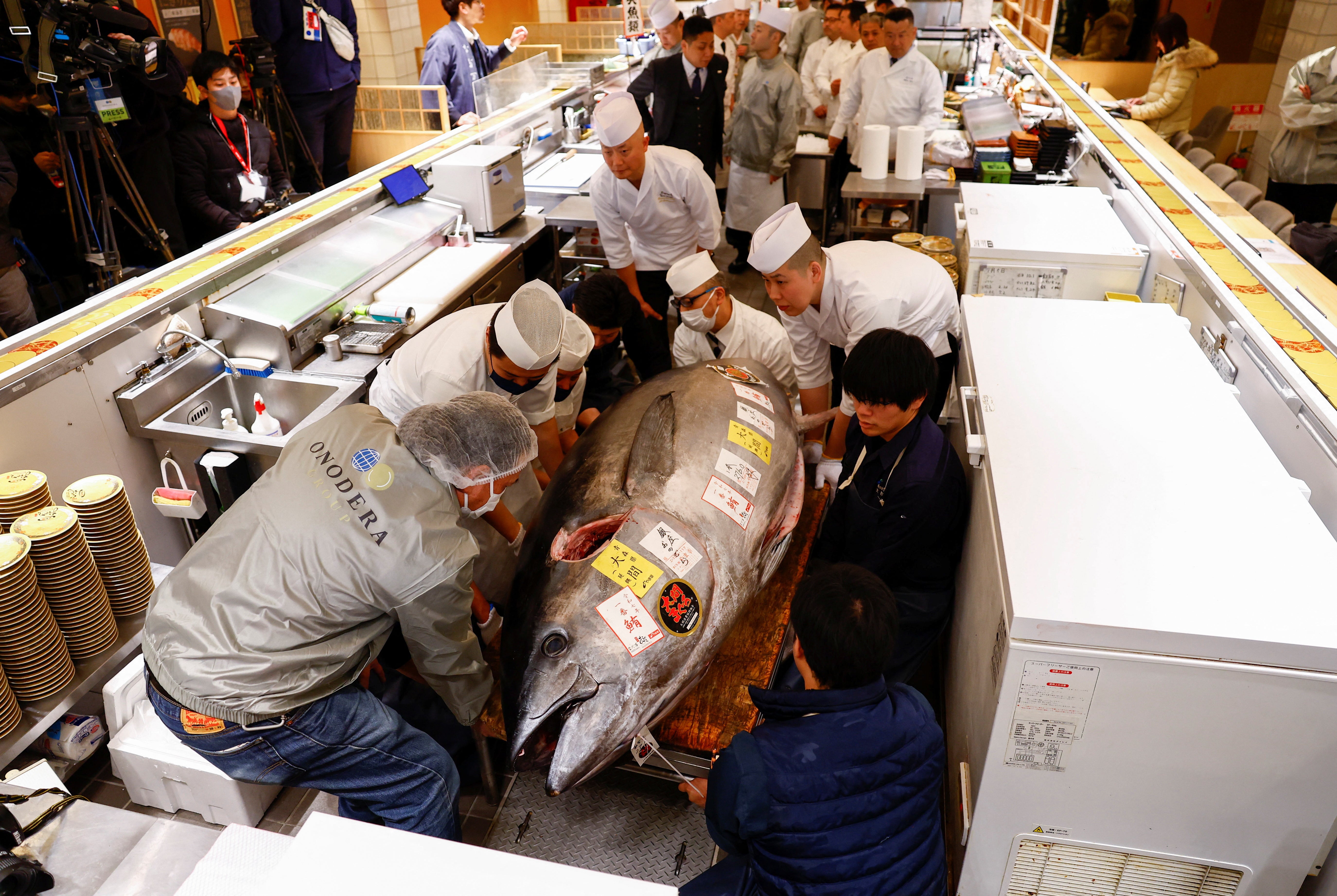 A 276-kilogram bluefin tuna is carried into a sushi restaurant after the first tuna auction of the New Year at a sushi restaurant in Tokyo