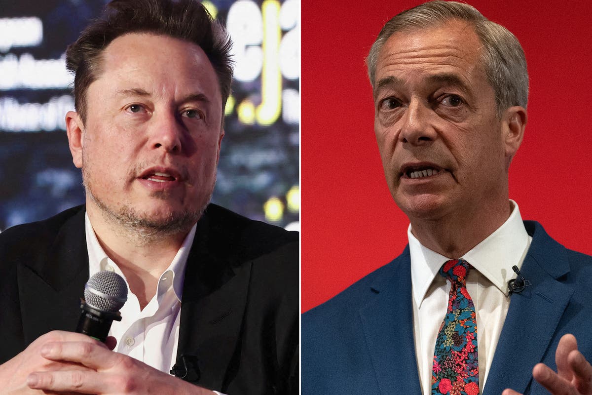 Make no mistake, Farage has a real Musk problem