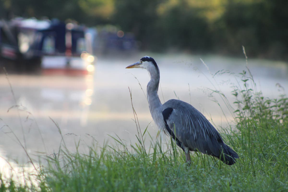 West Midlands Canals to Get £100,000 Revamp