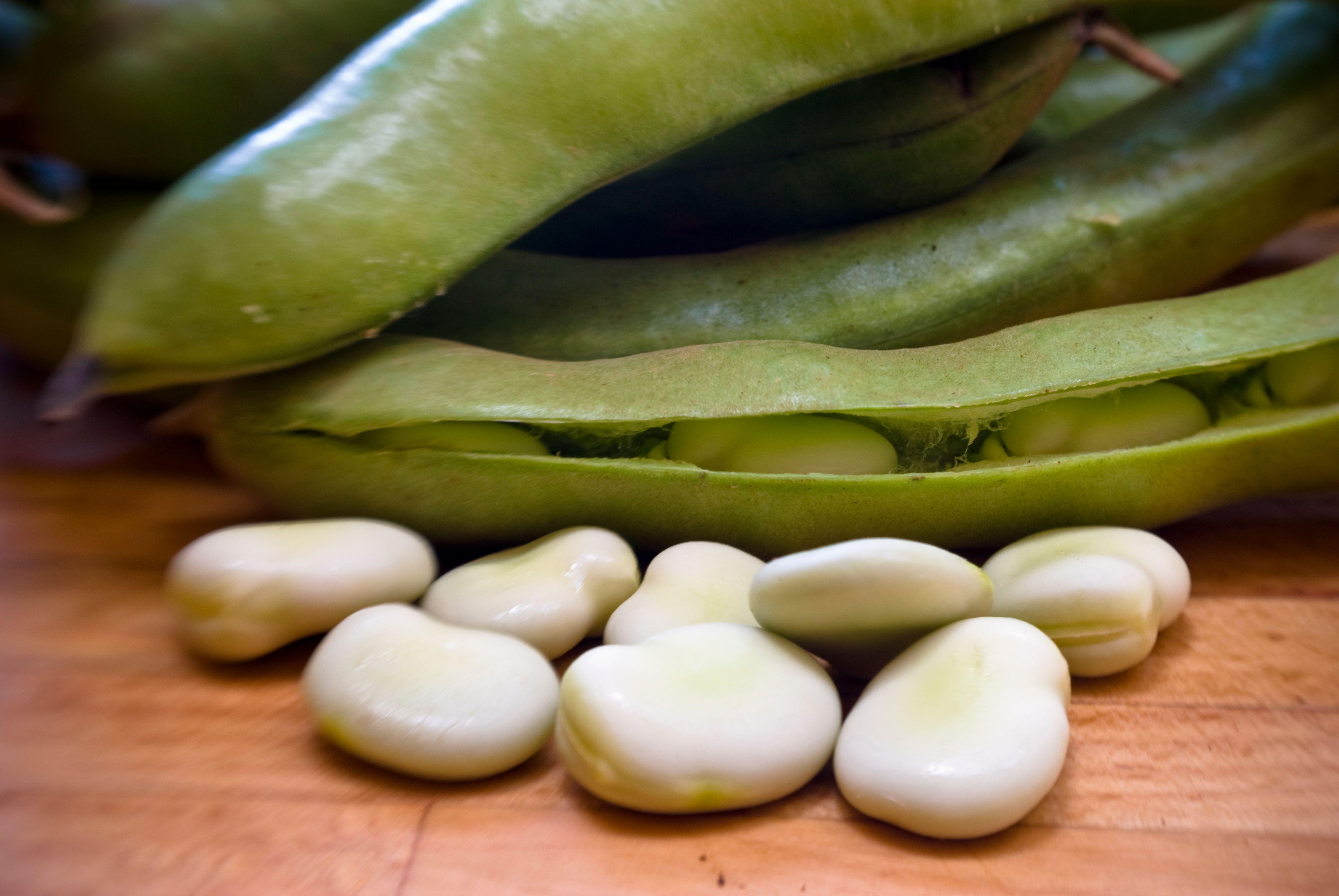 Freshly podded broad beans