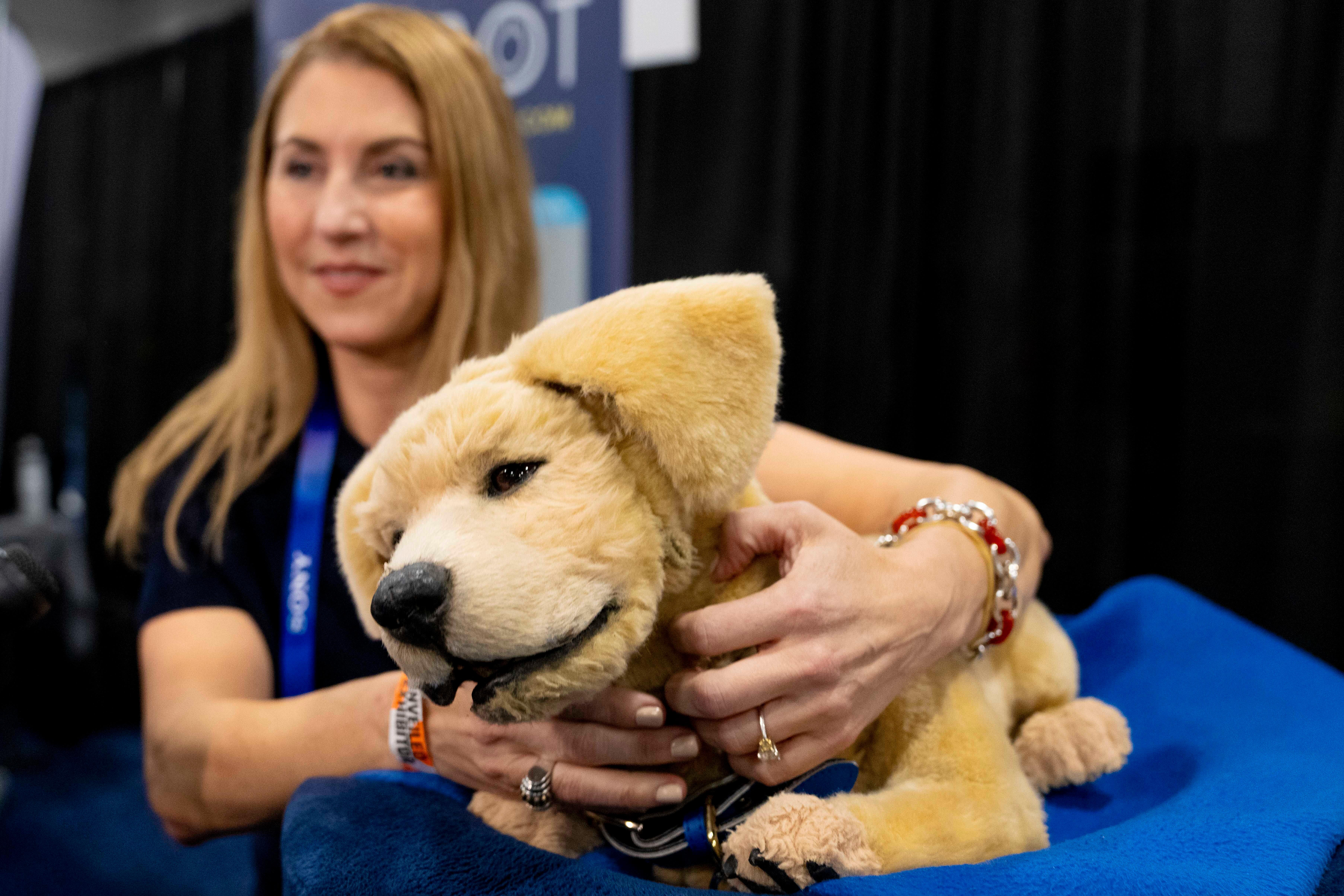 Tombot, a robotic dog for people who can not have a real pet, gets a scratch during 2025 CES Unveiled (Jack Dempsey/AP)