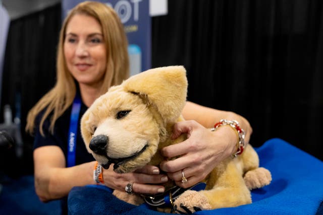 Tombot, a robotic dog for people who can not have a real pet, gets a scratch during 2025 CES Unveiled (Jack Dempsey/AP)