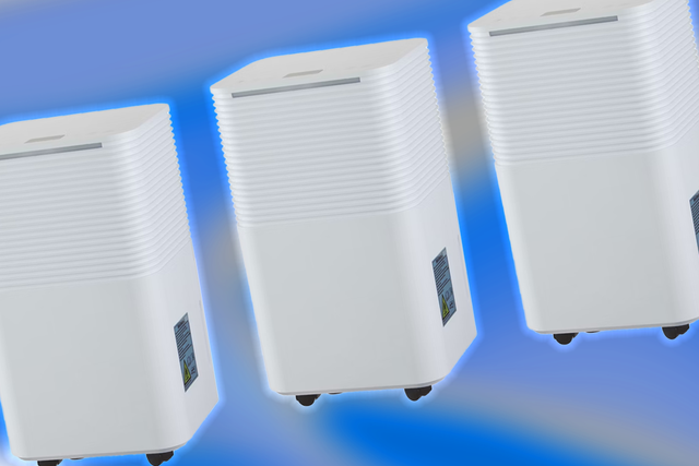 <p>The dehumidifier is available in store from 12 January   </p>