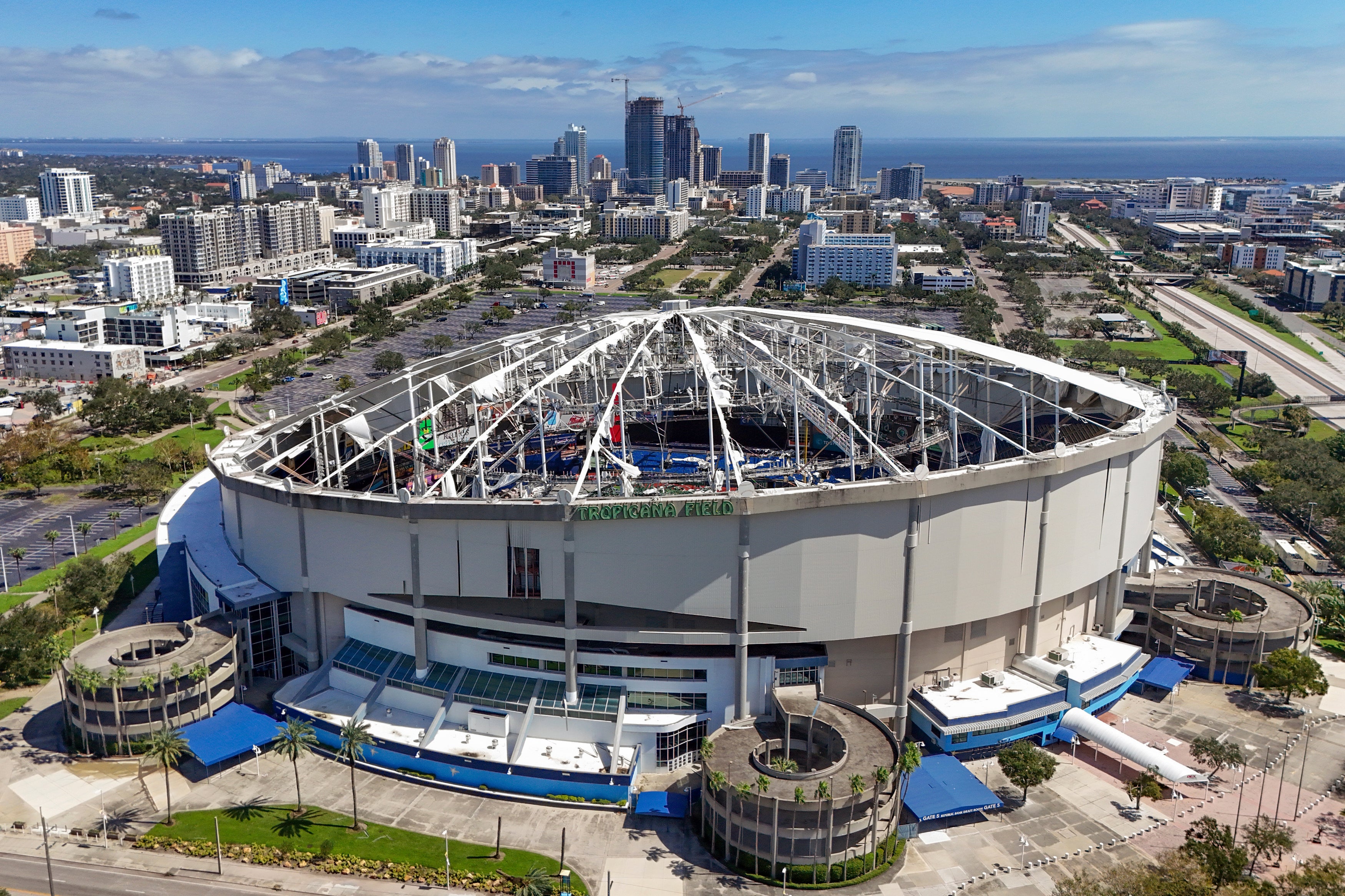 Rays Ballpark Baseball