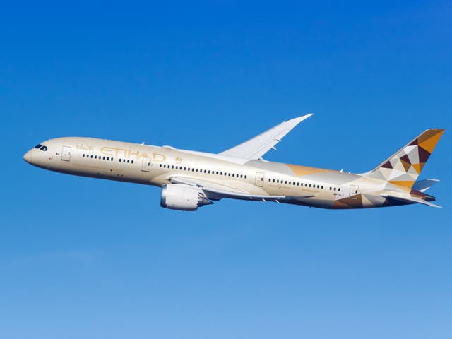 <p>Etihad Airways flight EY461 deflated two tyres after quickly aborting a high-speed take-off on Sunday </p>