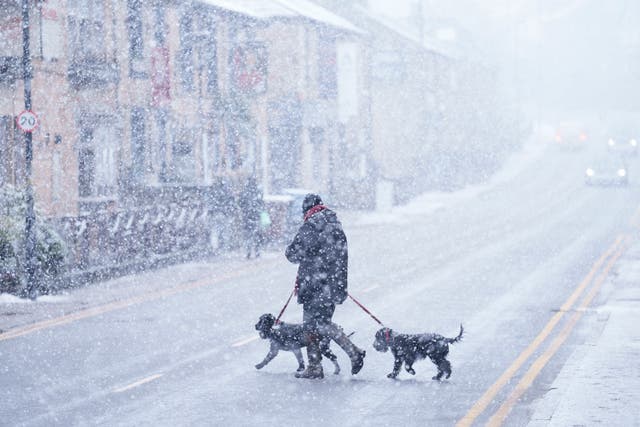 <p>A woman walks her dogs through heavy snowfall on the high street of Saddleworth, England, Tuesday, Jan. 7,</p>