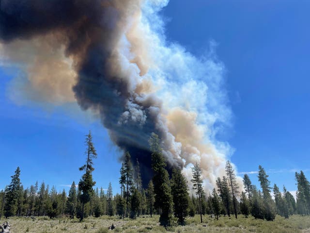 Wildfire Hazard Map Oregon