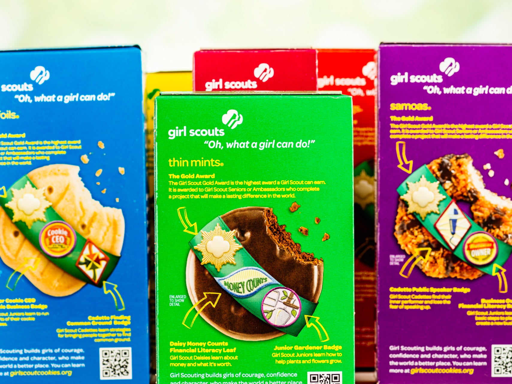 Girl Scout S’mores and Toast-Yay! will be discontinued after this year