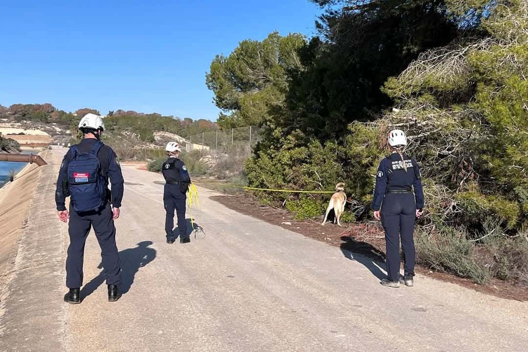 Members of the K9 Search and Rescue NI team travelled to Alicante (K9 Search and Rescue)