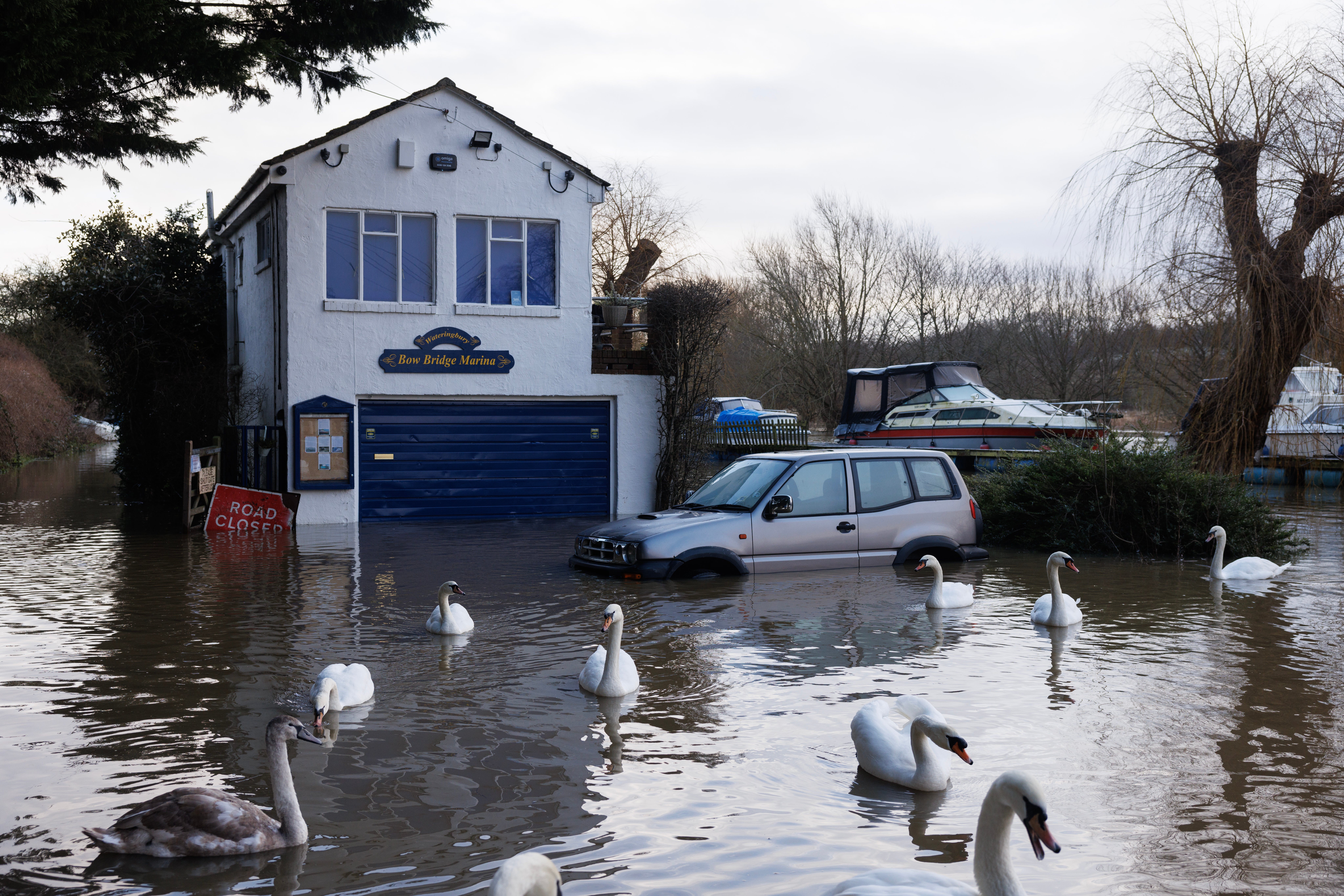 Swans swim near the Marina office in floodwater from the River Medway that broke its bank on 7 January 2025 in Wateringbury