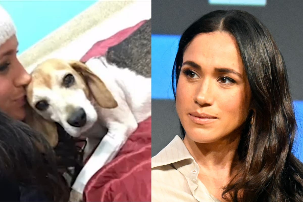 Meghan Markle Mourns Loss of Beloved Dog Guy