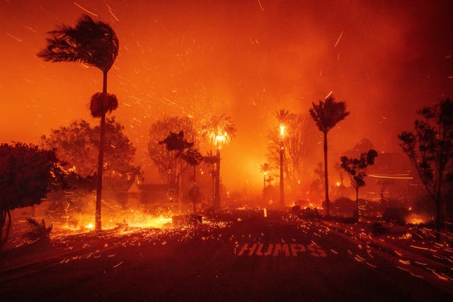 <p>Pacific Palisades homes and buildings are destroyed by the fires in Los Angeles</p>