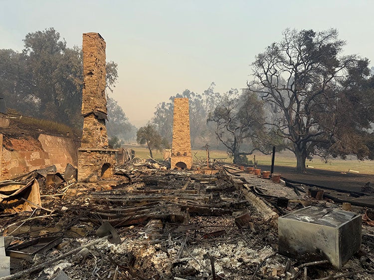 The former ranch house of Will Rogers, the famous actor and cowboy, was destroyed by the Palisades Fire. California State Parks said that ire fueled by wind gusts up to 80mph also destroyed parts of Topanga State Park