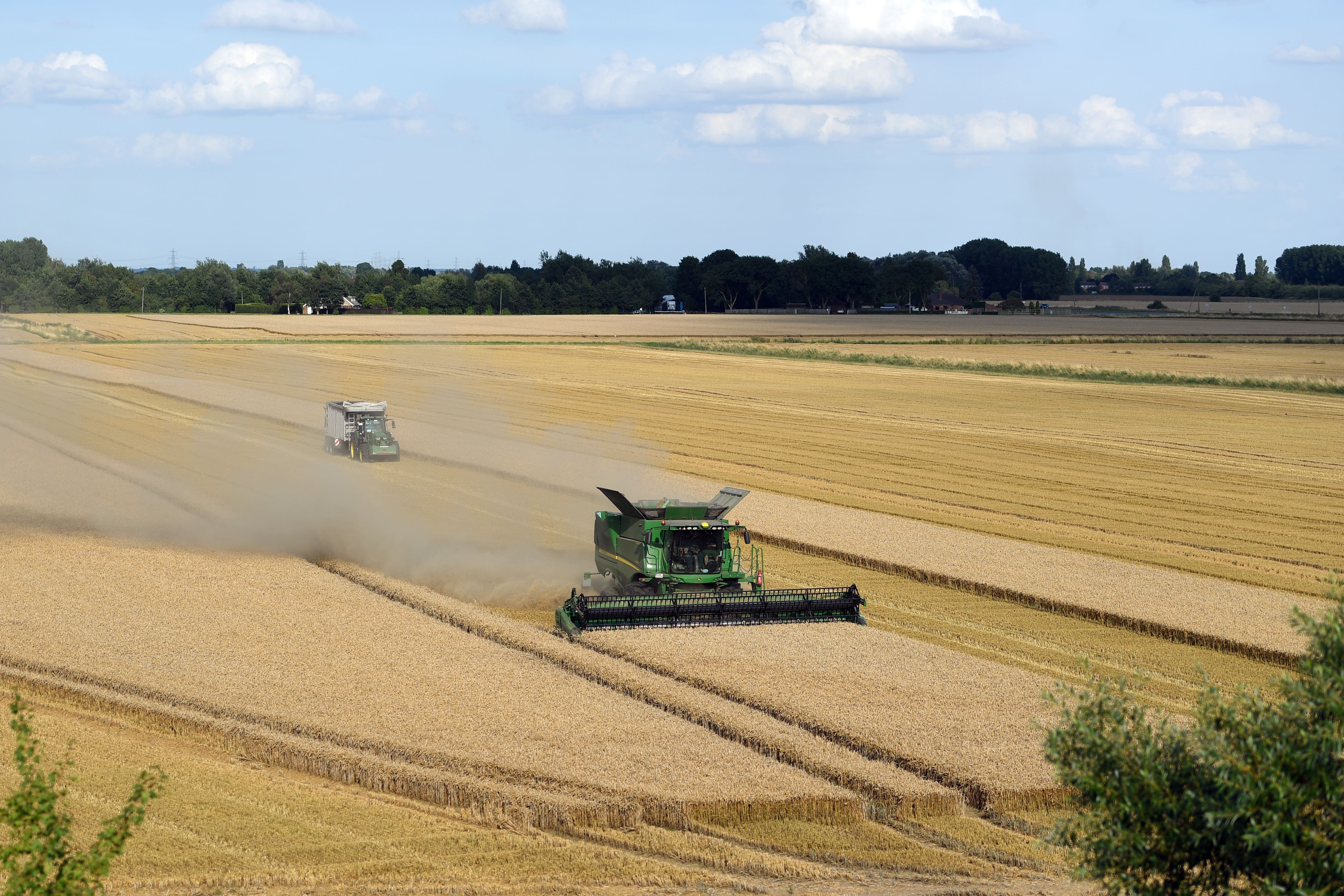 Environment Secretary Steve Reed will outline measures to boost farm profits (Joe Giddens/PA)