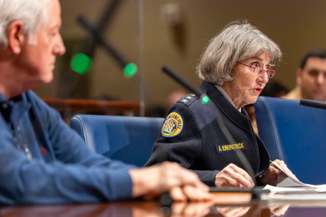 New Orleans City Council Security