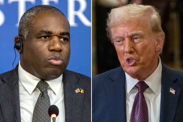 <p>Lammy called on Donald Trump, who once wrote a book titled The Art of the Deal, to realise a good “deal” was working with Ukraine</p>