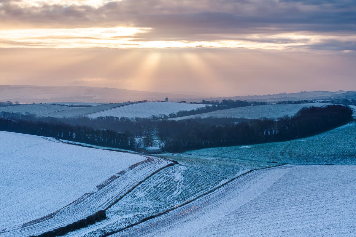 This January has been the fifth sunniest on record, the Met Office says