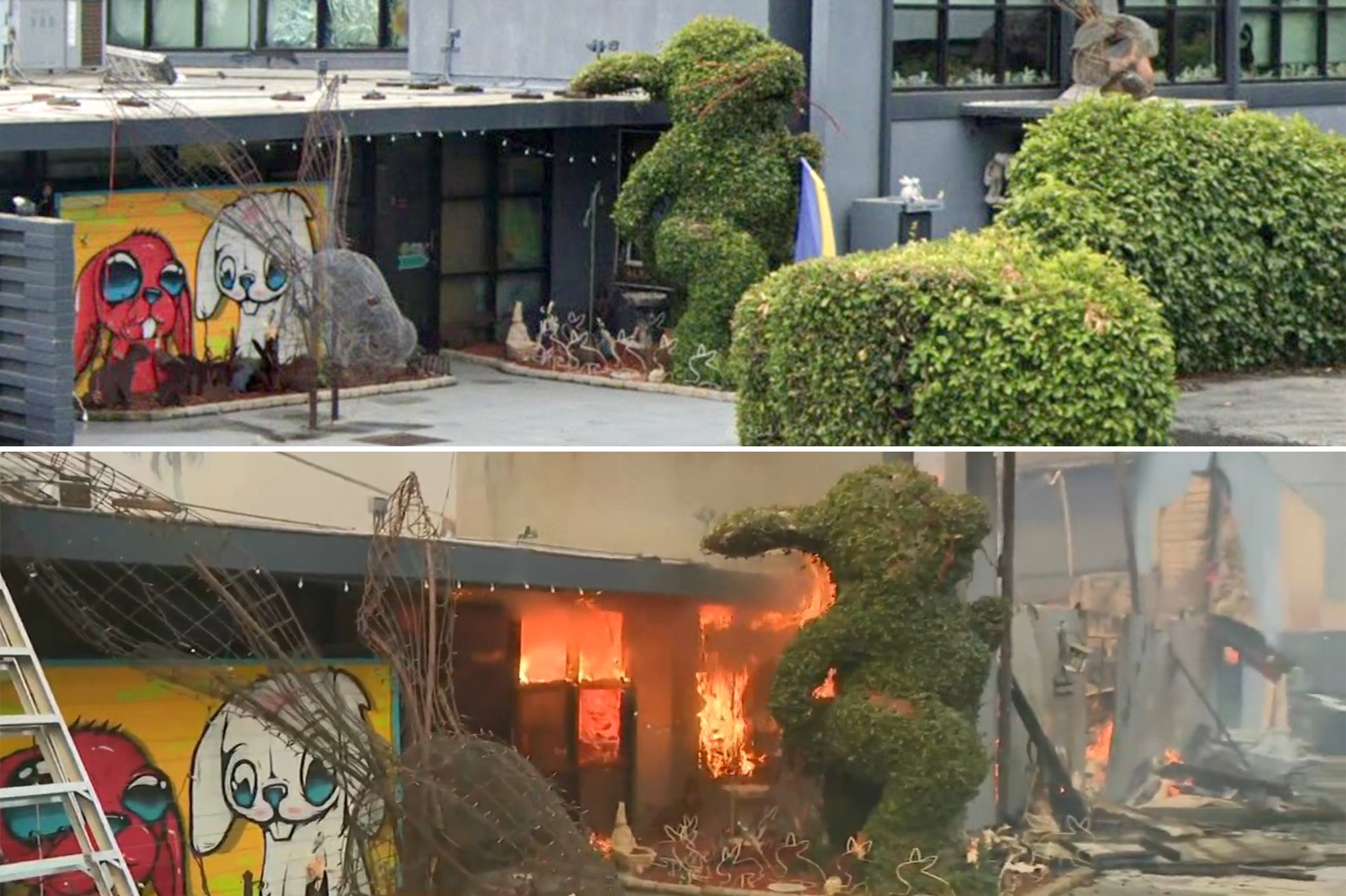 The Altadena Bunny Museum before (pictured top) and after the fires (pictured below), housed almost 50,000 bunny-related artifacts before it perished in the Eaton Fire blaze Wednesday – leaving the owners devastated