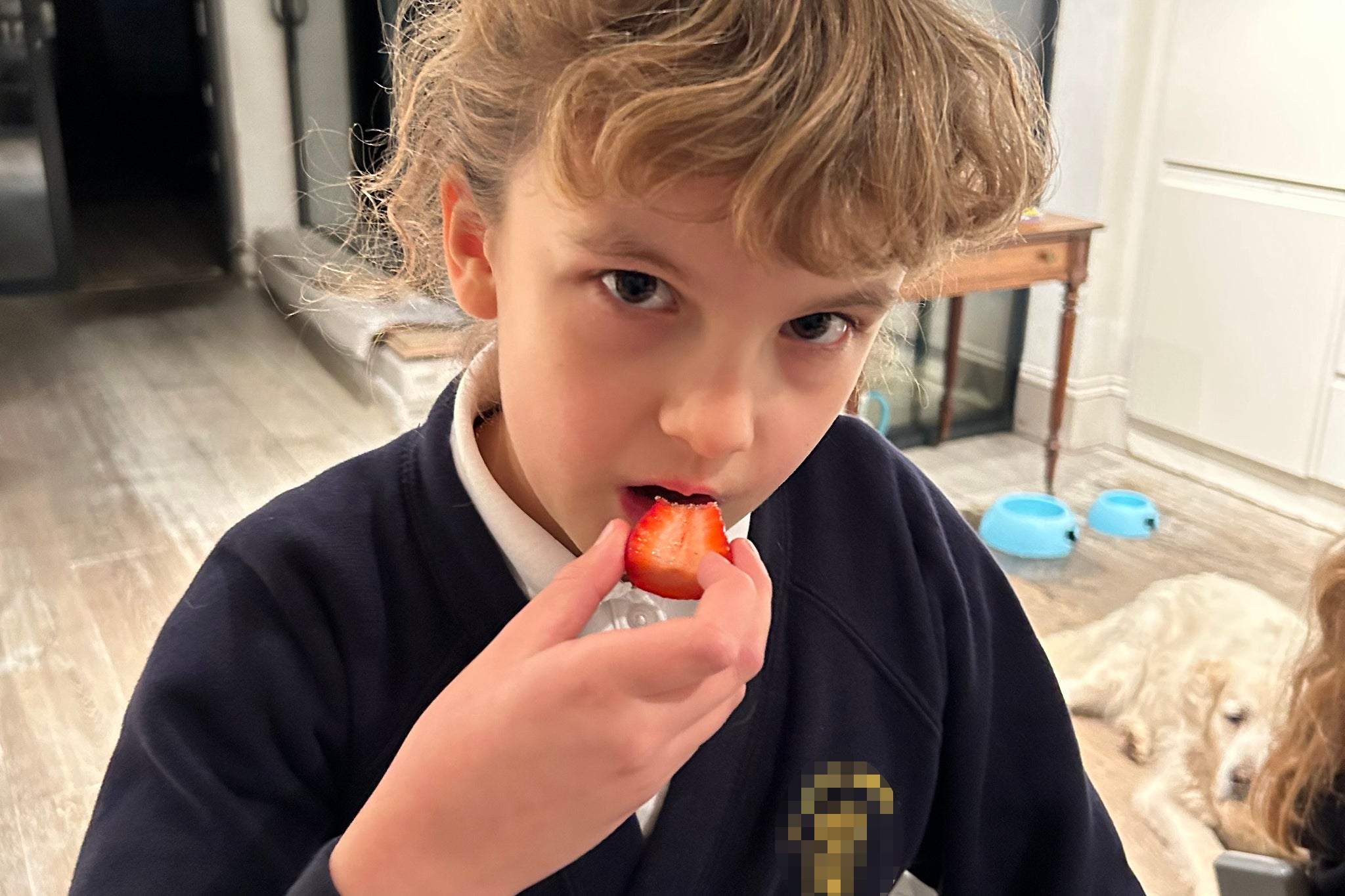 Lola reluctantly eating her first strawberry after she’d finished off the lasagne that became her new ‘safe food’