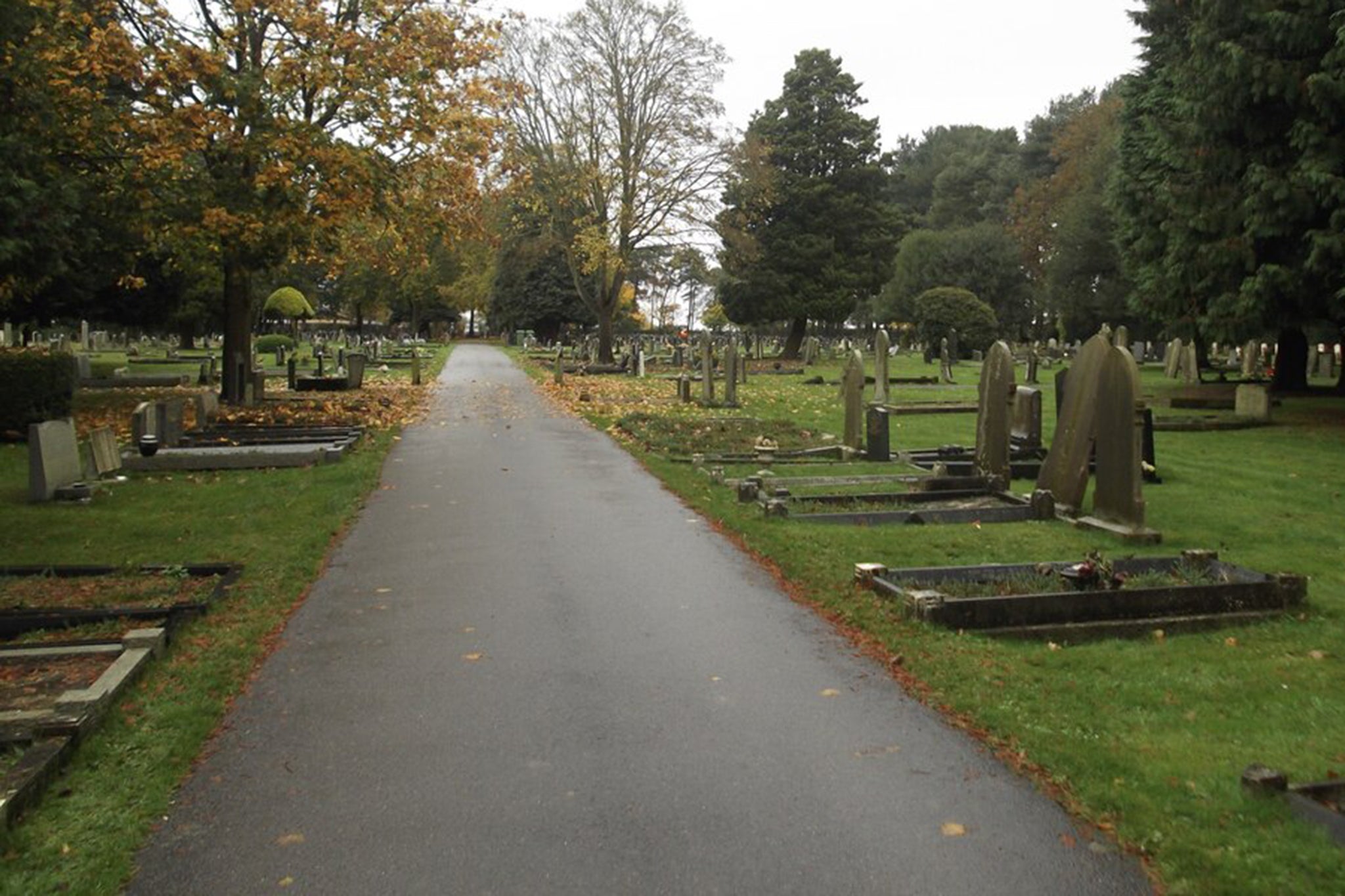 Apology to heartbroken widow  after husband’s grave dug up by mistake